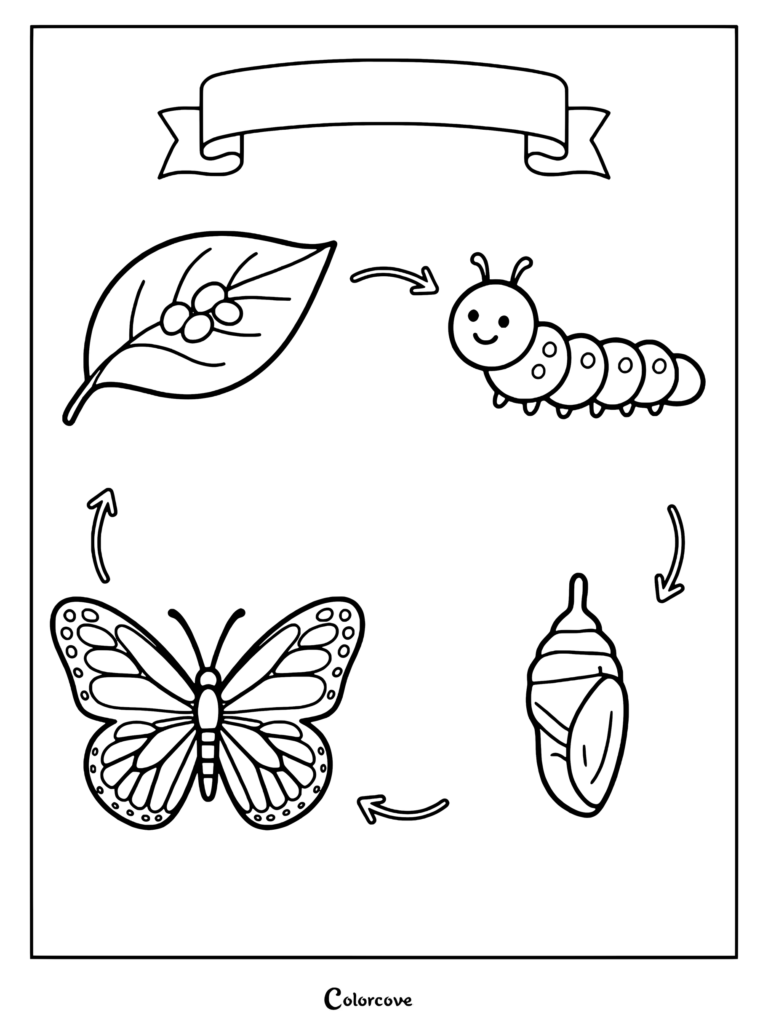 Preschool butterfly life cycle coloring page showing eggs on a leaf, caterpillar, chrysalis, and butterfly
