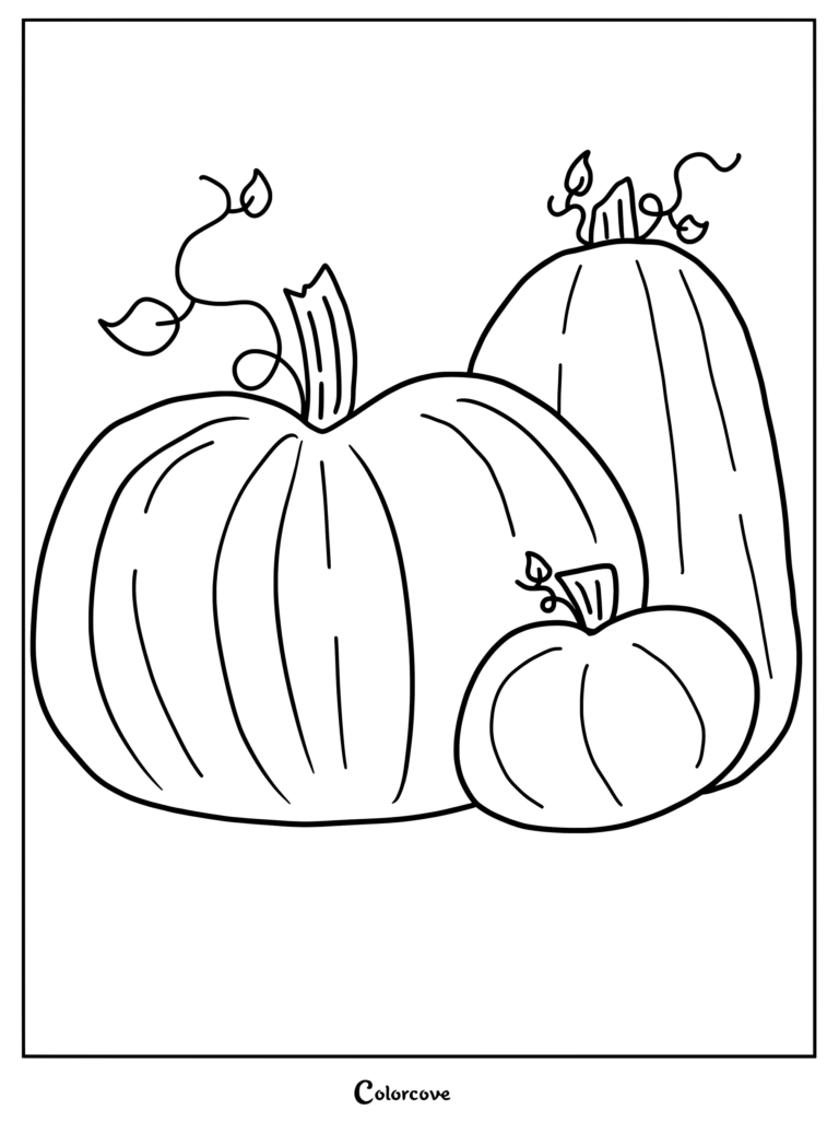 Dibujo de calabazas para colorear con una composición de tres Calabaza decorativa de otoño de distintos tamaños.