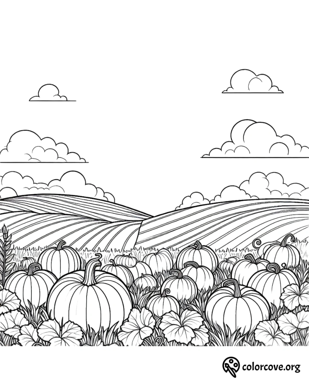 Pumpkin patch coloring page with a scenic field and clouds. Perfect for kids and adults to color and enjoy the fall season.