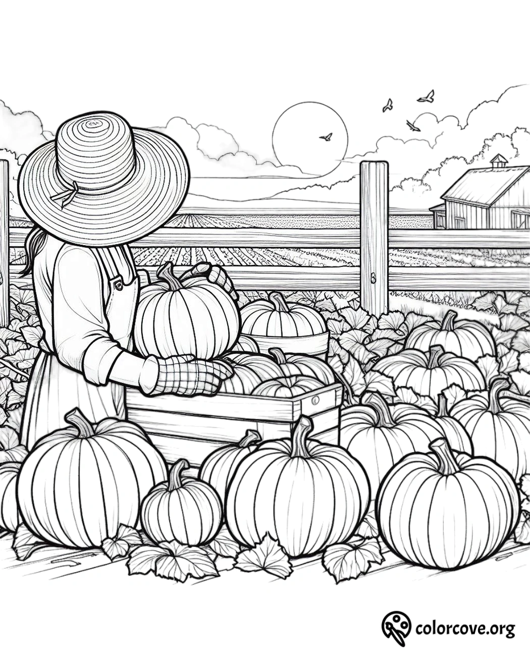 Coloring page of a woman in a field harvesting pumpkins, with a barn and field in the background and a setting sun.