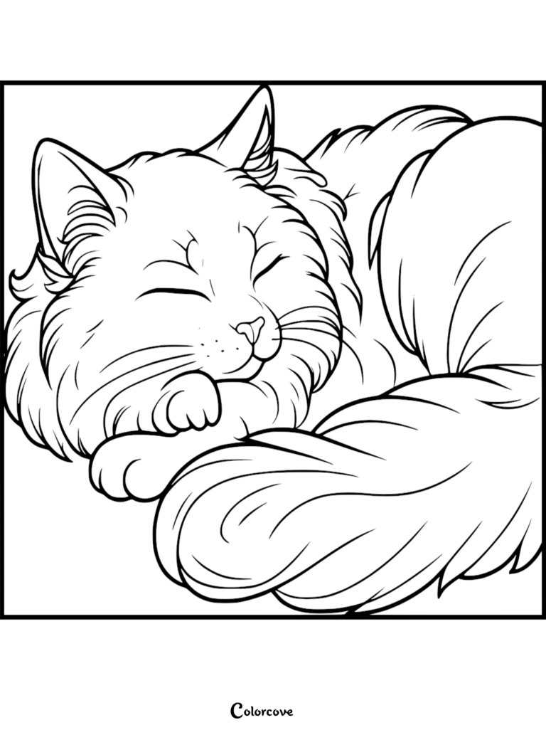 Un Chat Ragdoll pelucheux dormant paisiblement sur cette page de coloriage gratuite à imprimer.