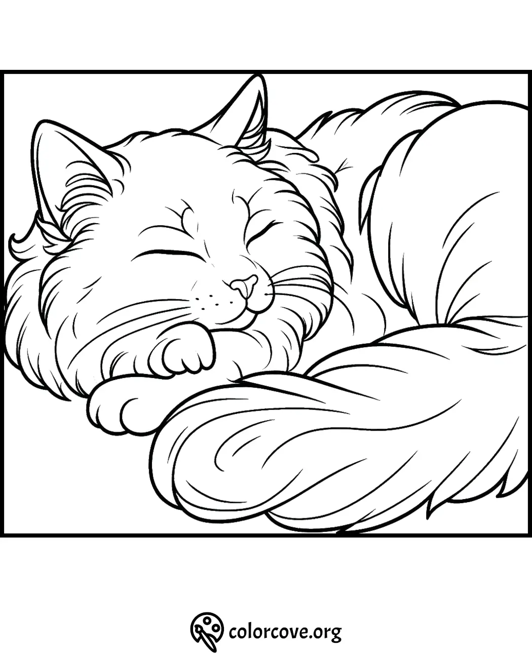 Coloring page of a fluffy cat sleeping peacefully with its tail curled. Printable cat coloring sheet.