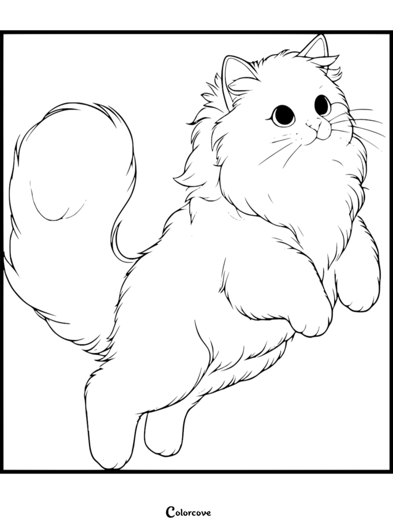 Un Chat Ragdoll pelucheux aux grands yeux et à la queue buissonnante se tenant sur ses pattes arrière sur cette page de coloriage à imprimer.
