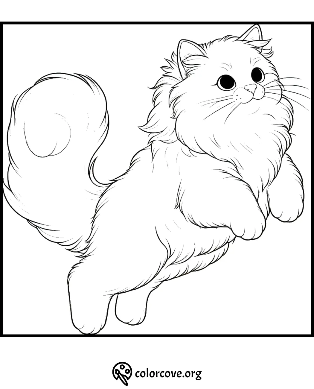 Cute fluffy cat coloring page, perfect for kids and adults. Download and print this feline art from colorcove.org.