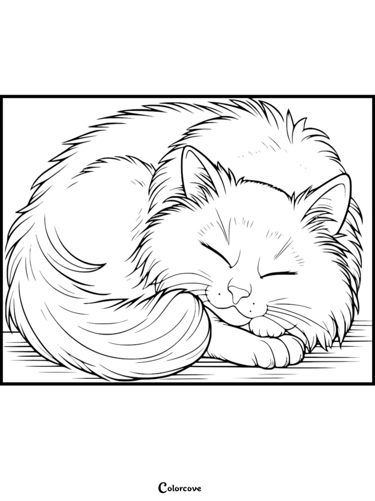 Un Chat Ragdoll mignon blotti en boule pendant son sommeil, présenté sur une page de coloriage gratuite à imprimer.
