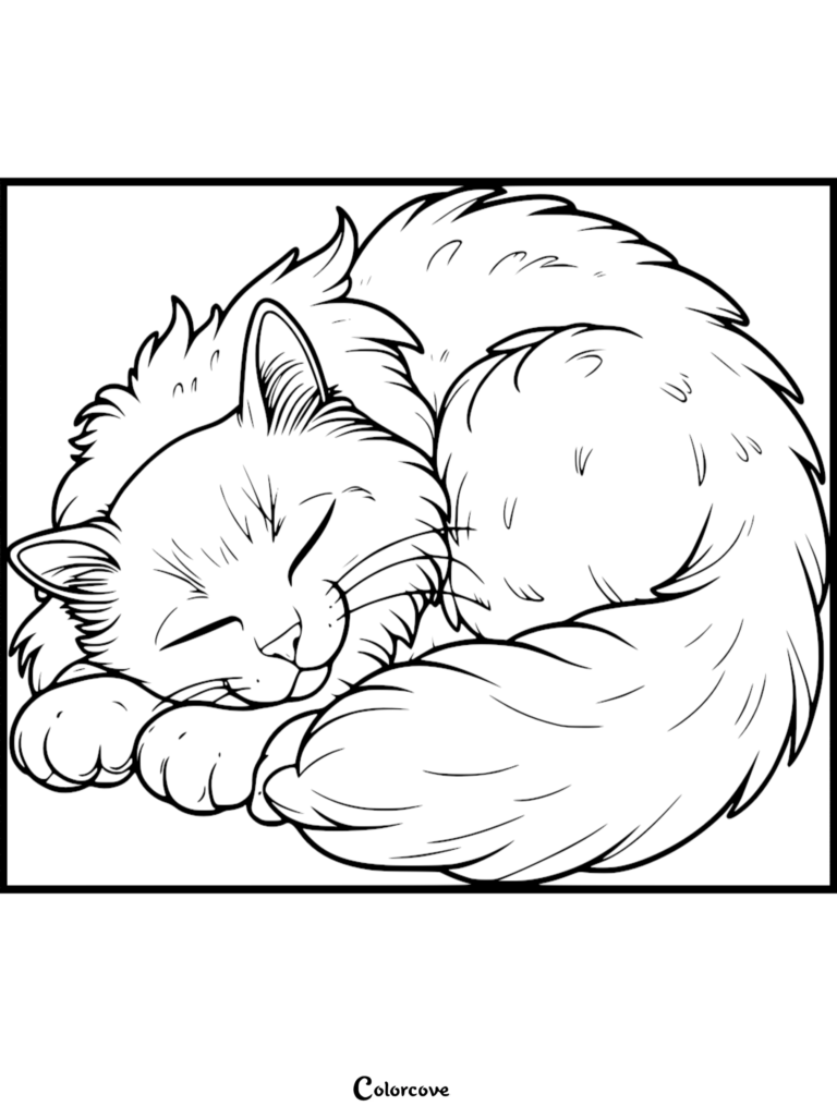 Un Chat Ragdoll pelucheux blotti en boule pendant son sommeil, page de coloriage au trait détaillée.
