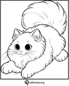 Cute cat coloring page: Adorable fluffy kitten with big eyes, laying down and ready to be colored.