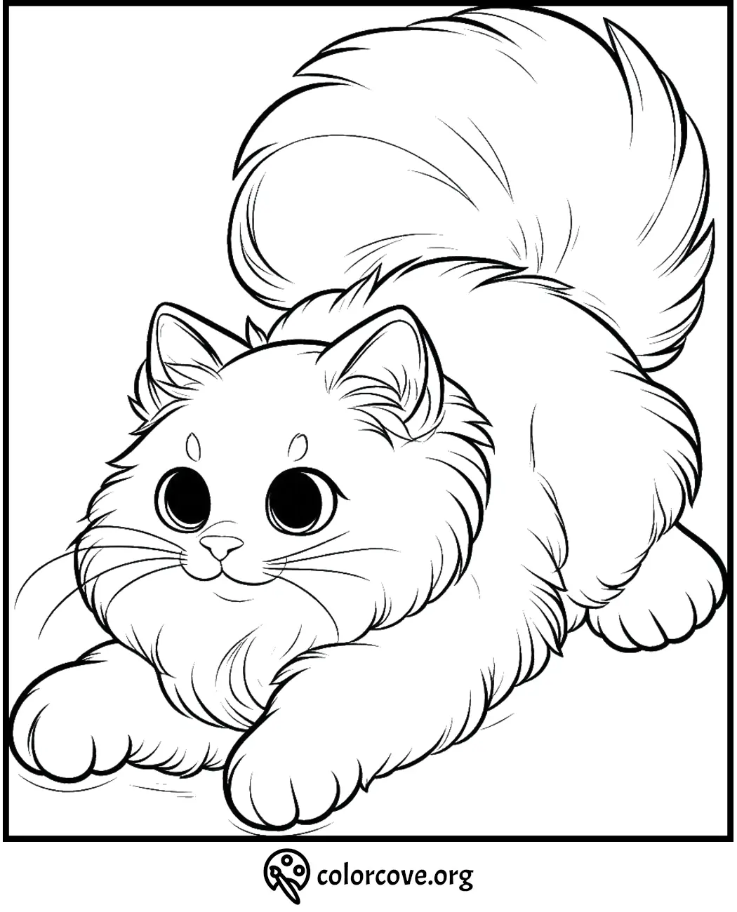 Cute, fluffy kitten coloring page from colorcove.org, perfect for kids and cat lovers. Free printable cat coloring sheet.