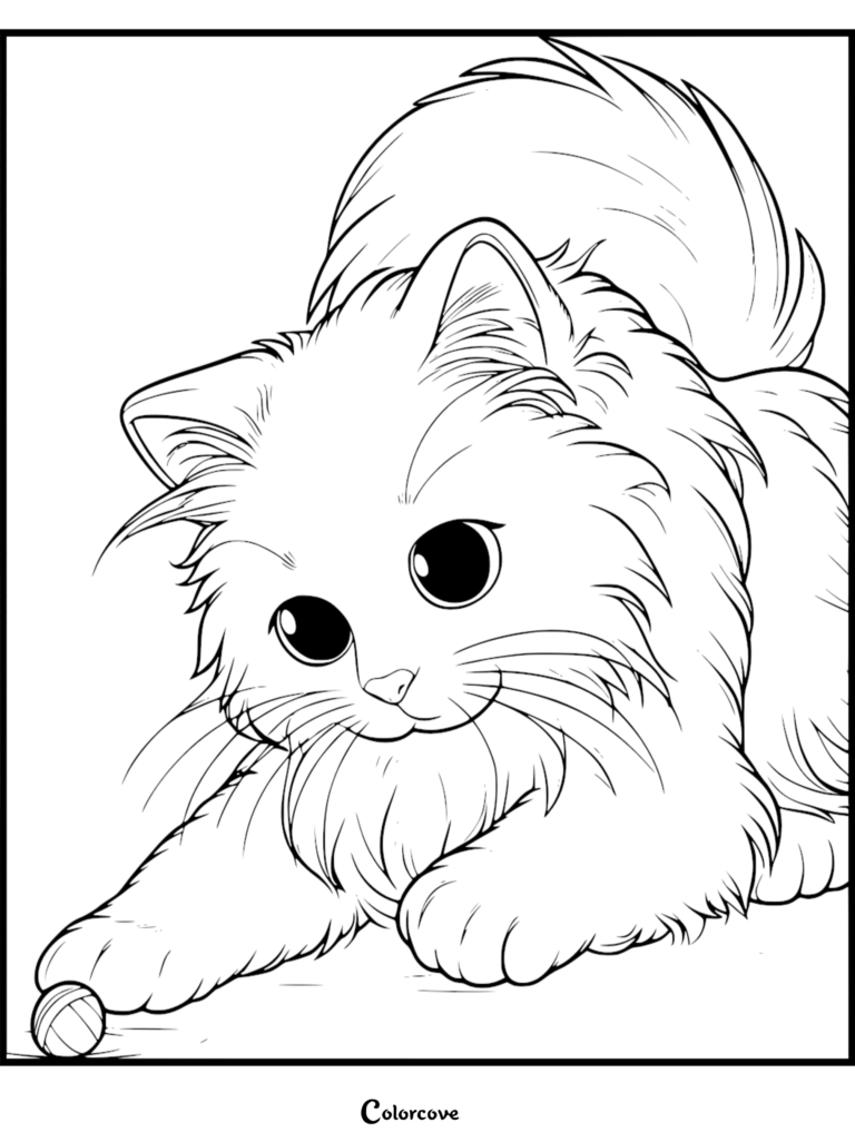 Un mignon chat Ragdoll duveteux jouant avec une petite pelote de laine sur cette page de coloriage gratuite à imprimer.