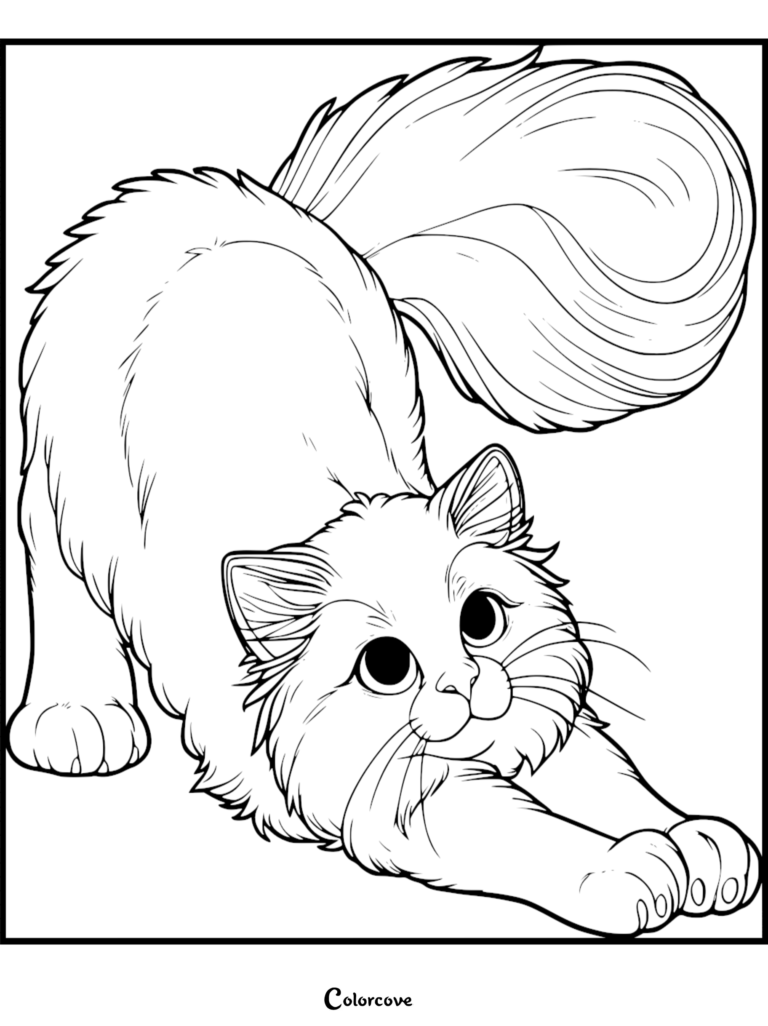 Un Chat Ragdoll mignon s'étirant les pattes avant sur cette page de coloriage gratuite à imprimer.