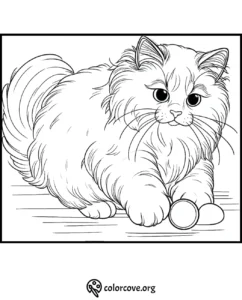 Fluffy cat coloring page for kids and adults, featuring a cute kitten with long fur. Free printable coloring sheet.