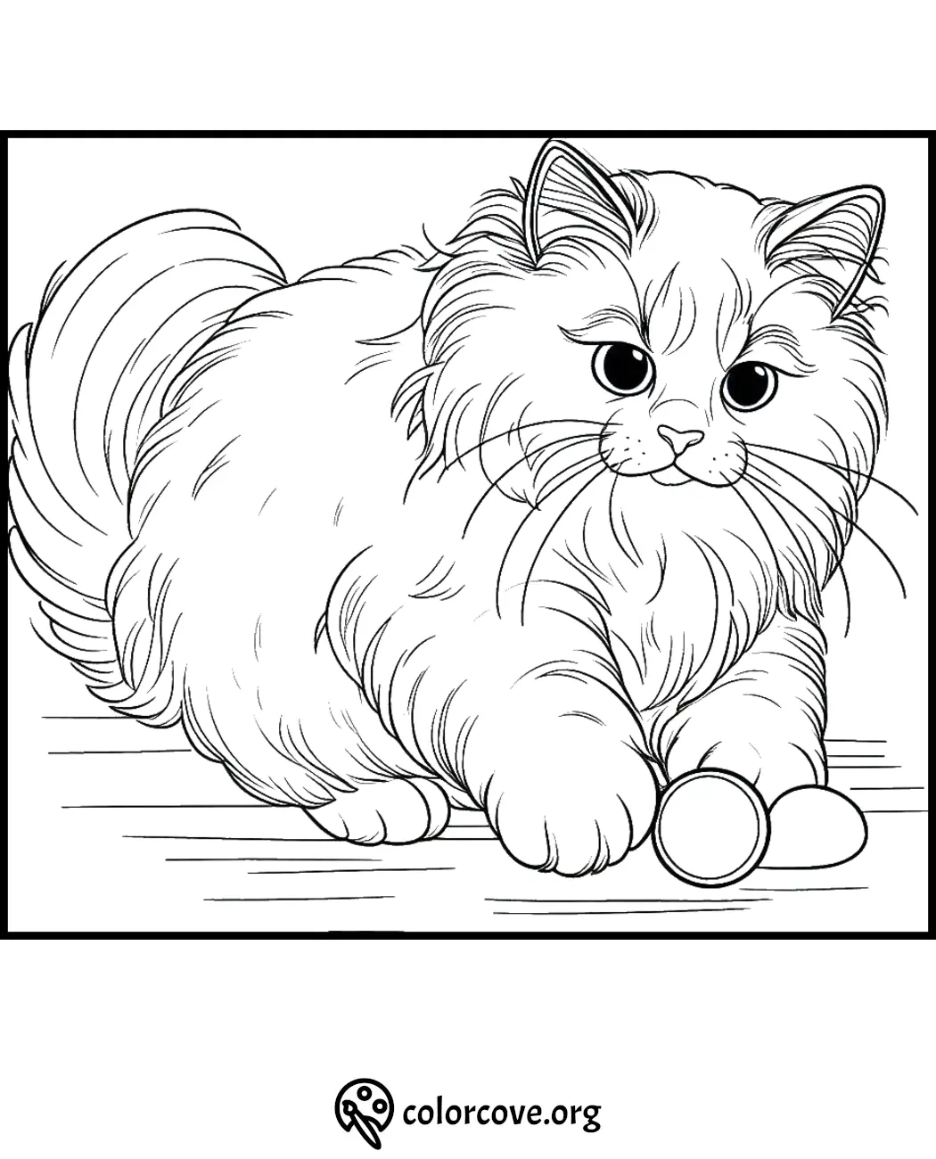 Coloring page of a fluffy cat with large eyes, sitting on a surface. Ideal for kids' activities and cat lovers.