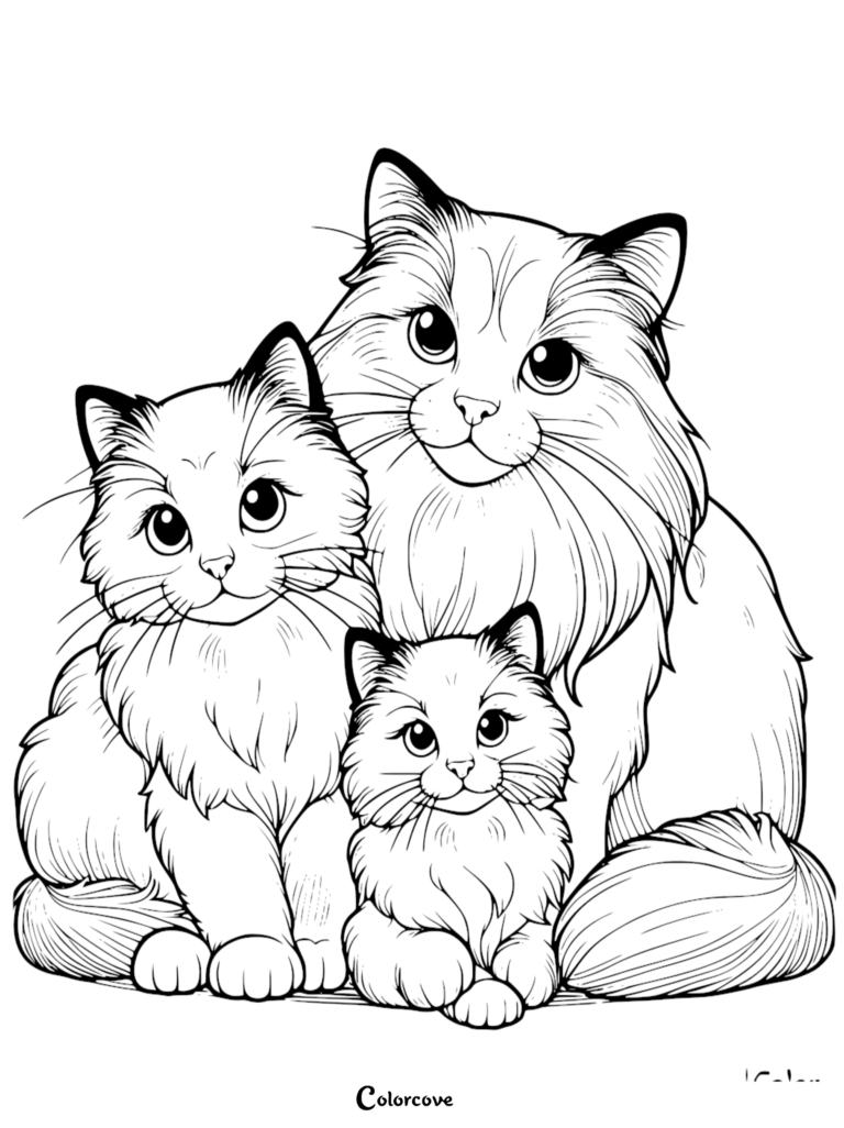 Une page de coloriage à imprimer représentant une mère chat Ragdoll assise avec ses deux chatons duveteux.