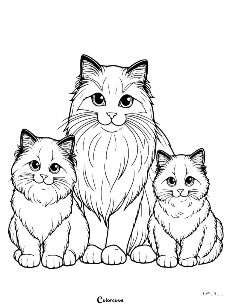 Une page de coloriage à imprimer représentant un grand chat Ragdoll adulte assis avec deux chatons duveteux.
