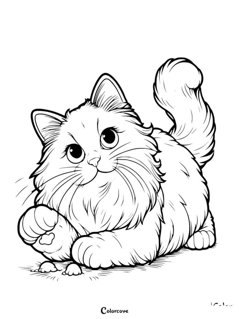 Un chat Ragdoll duveteux aux grands yeux jouant avec un petit jouet sur cette page de coloriage à imprimer.
