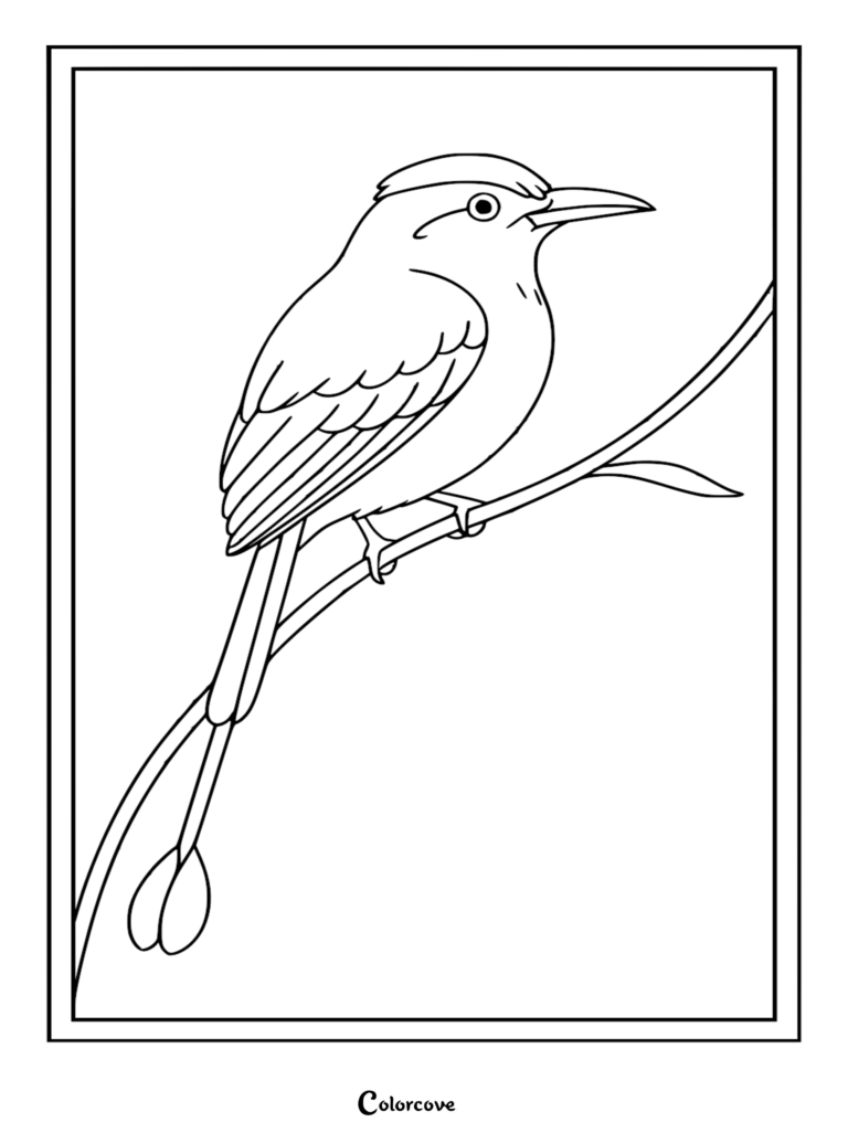 A detailed line art coloring page of a motmot bird with its signature long tail feathers perched on a thin rainforest branch.