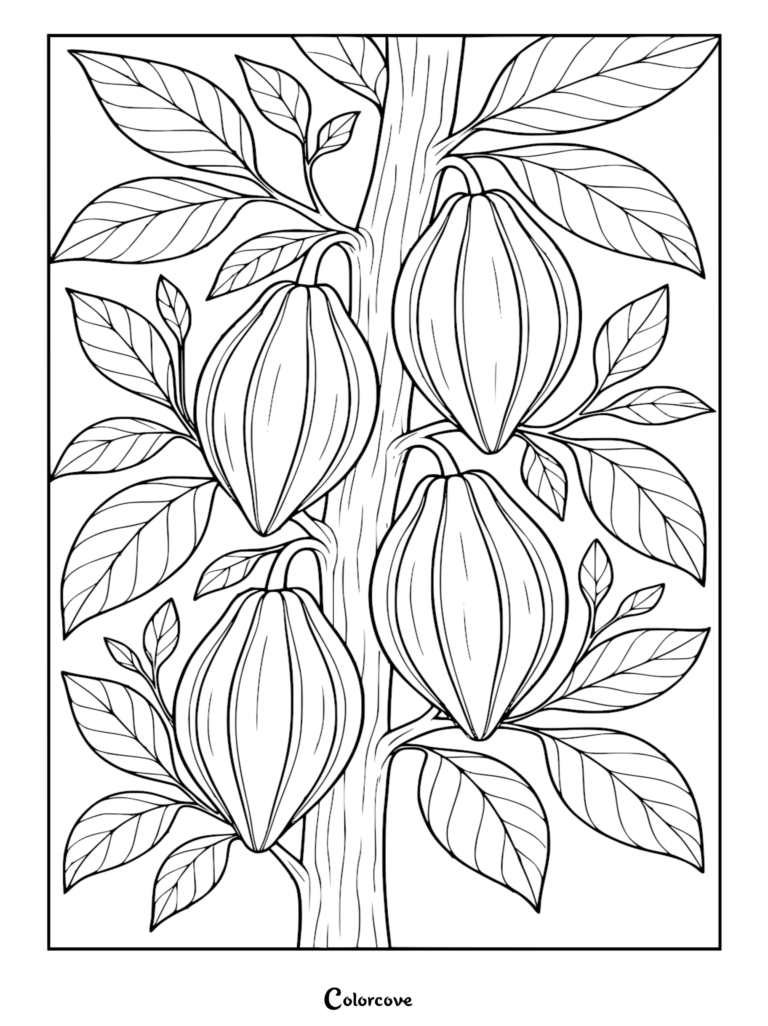 A detailed coloring page featuring four large cacao pods hanging from a central tree trunk surrounded by lush tropical leaves.