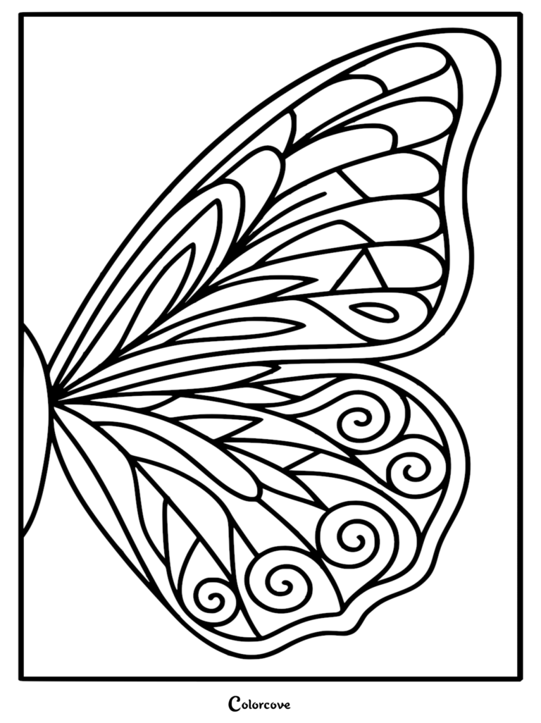 Detailed butterfly wing coloring page featuring intricate swirling patterns and elongated segments.