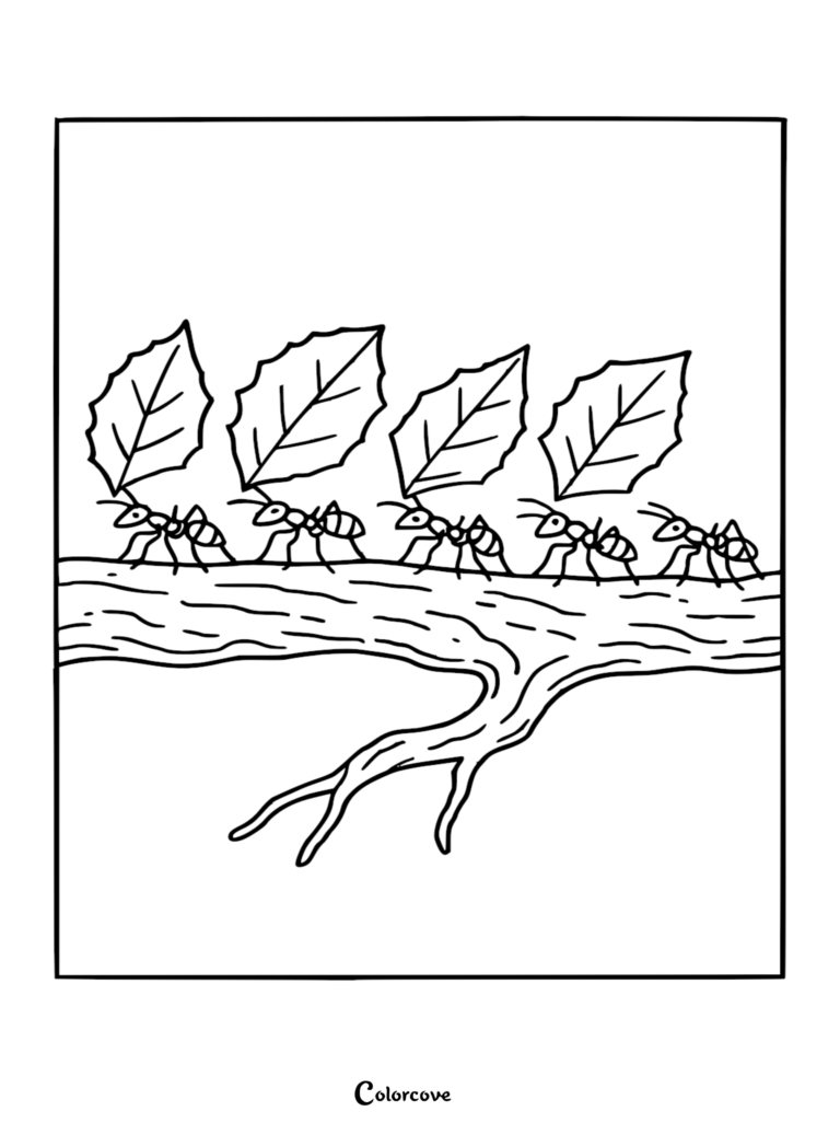 A line of five leafcutter ants carrying large green leaves on their backs while walking across a tree branch in this rainforest coloring page.