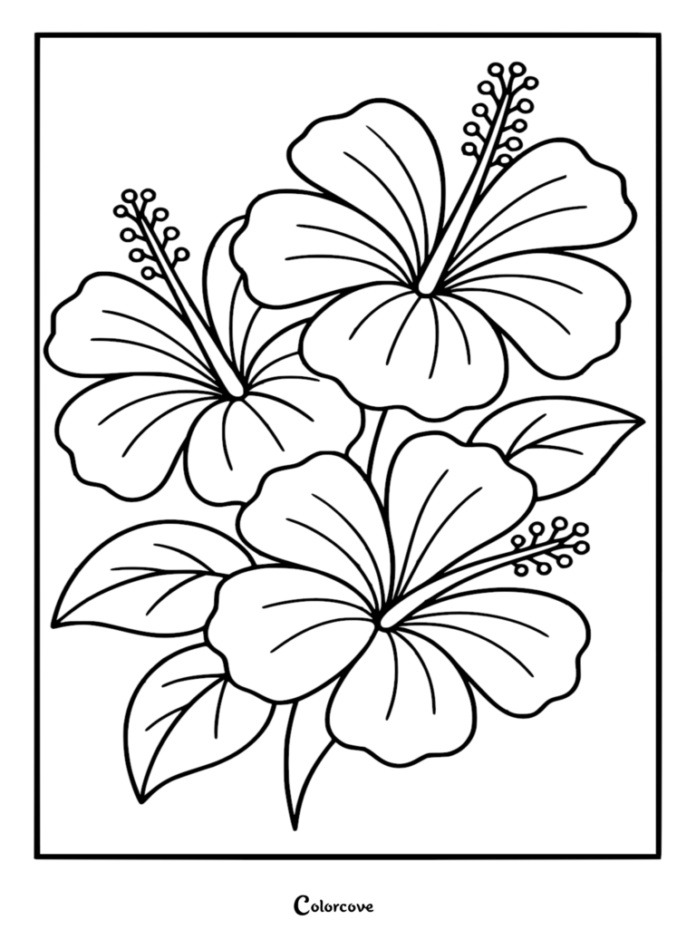 Three large tropical hibiscus flowers with prominent stamens and lush leaves in a printable coloring page format.