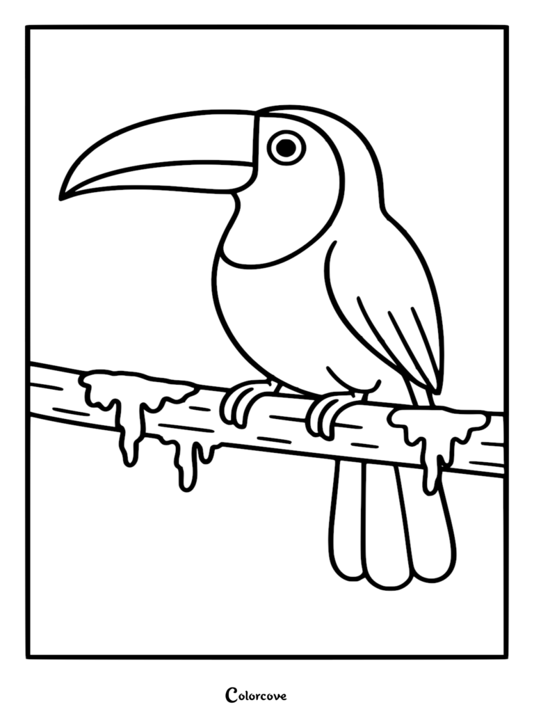 A simple toucan coloring page featuring a bird with a large beak perched on a mossy rainforest branch.