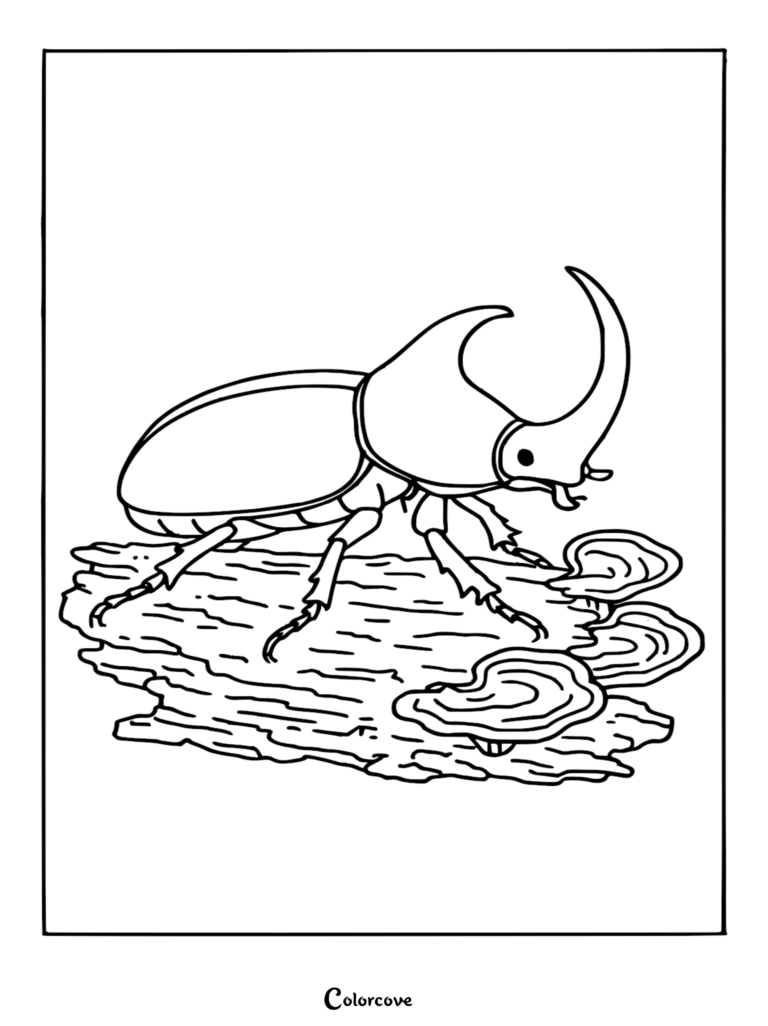 A detailed rhinoceros beetle with a large curved horn standing on a textured log with shelf fungi, black and white coloring page.