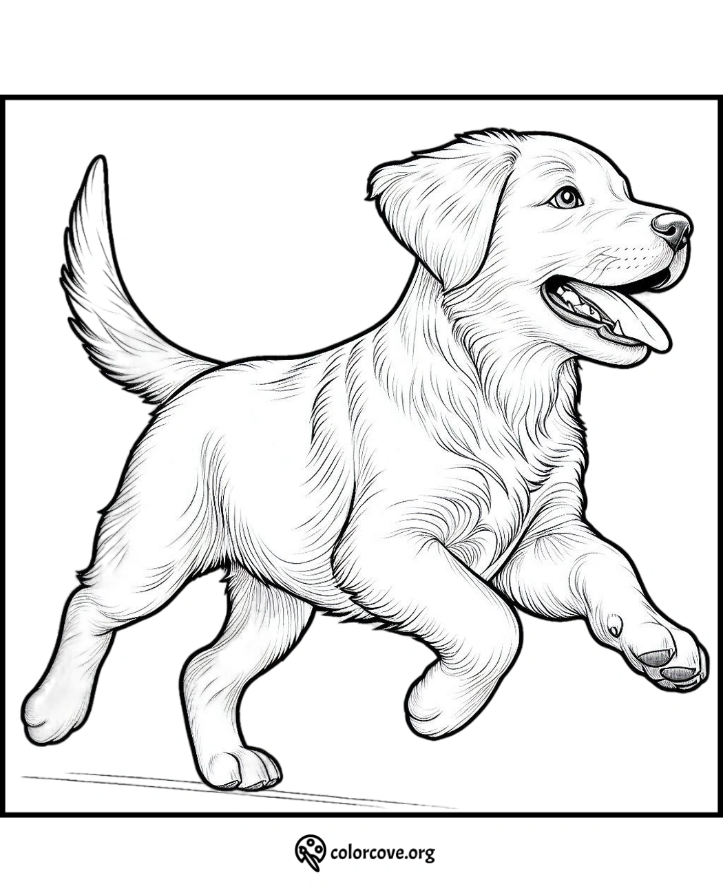 a drawing of a dog