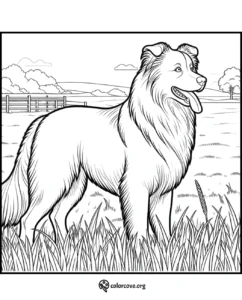 a dog standing in grass