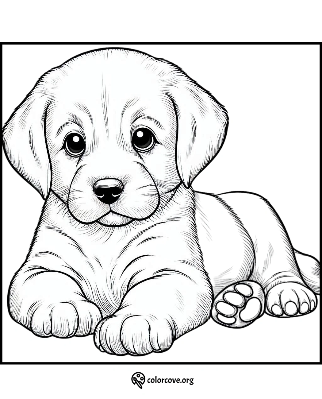 a drawing of a puppy