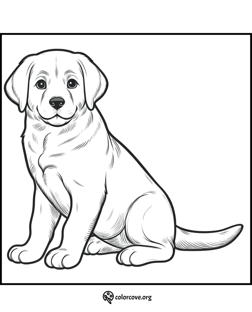 a drawing of a dog