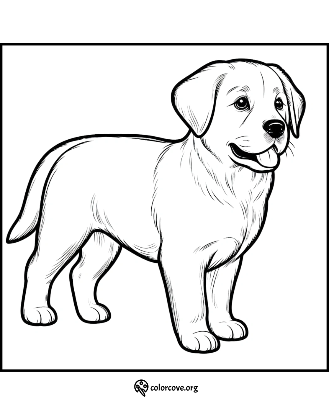 a drawing of a dog