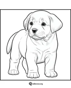 a drawing of a puppy