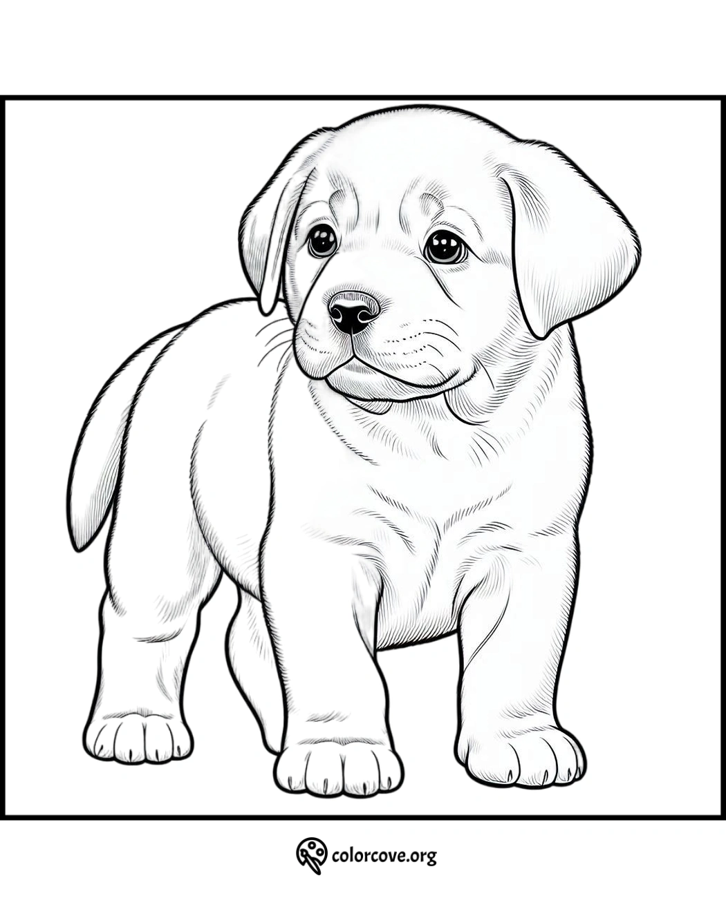 a drawing of a puppy