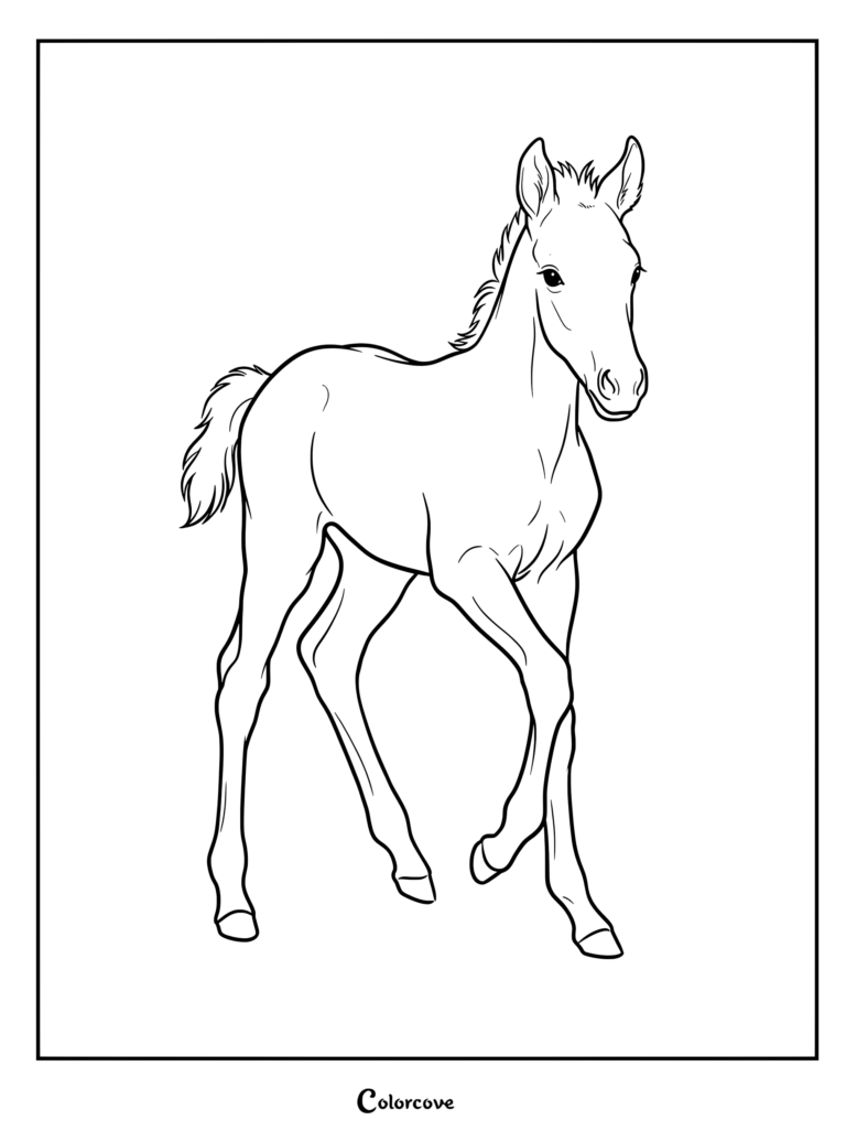 Realistic Horse coloring page of a cute baby foal walking.