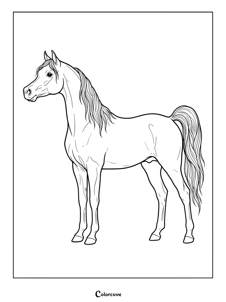 Realistic Horse printable coloring page of an Arabian stallion standing gracefully.