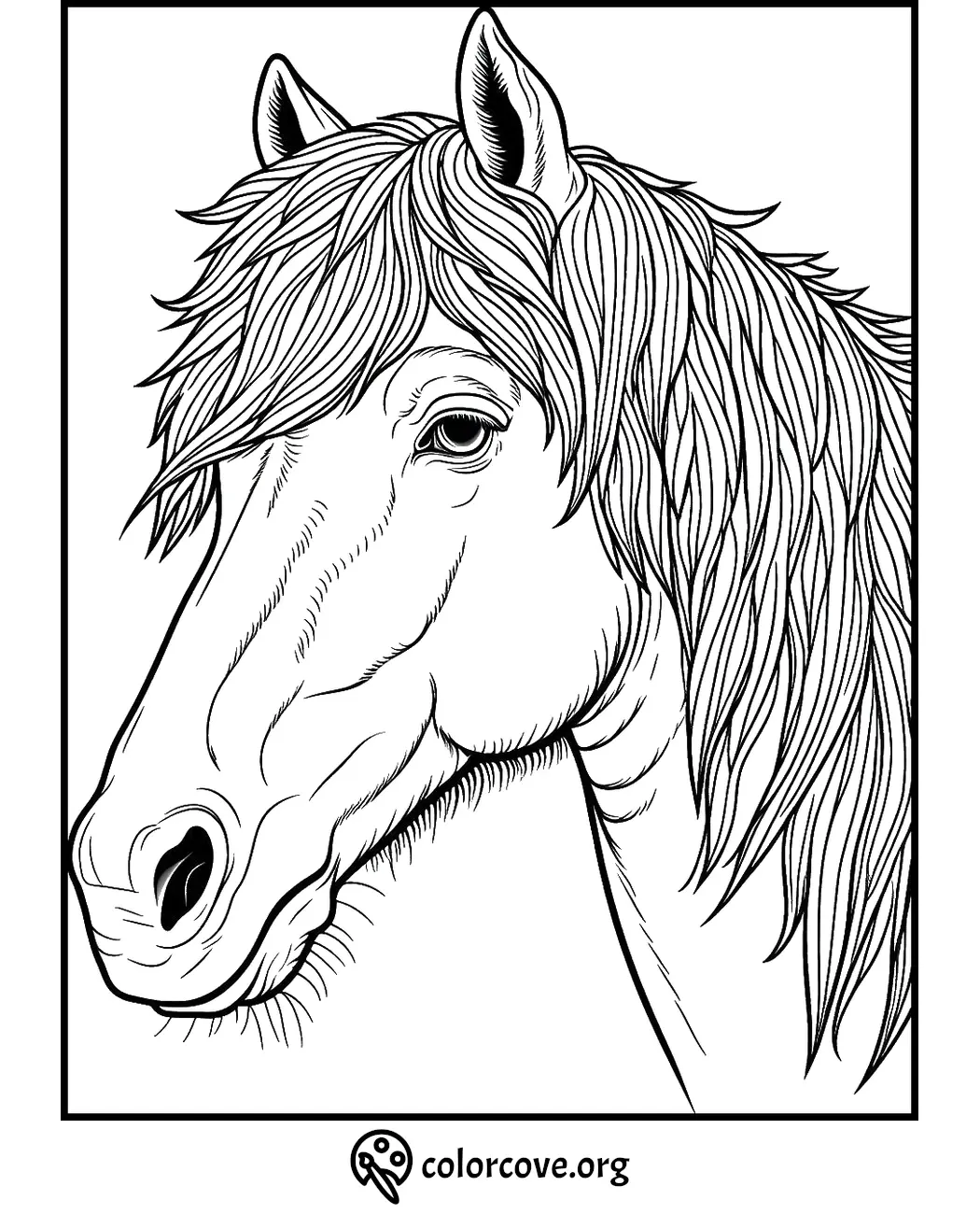 Horse coloring page with detailed mane, perfect for kids and adults. Printable line art for creative coloring fun.