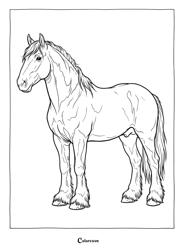 Detailed realistic horse coloring page featuring a Clydesdale with feathered hooves standing alert.