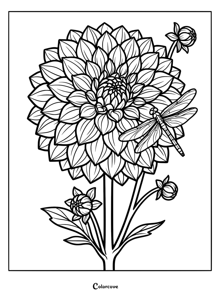 Un coloriage détaillé représentant un grand dahlia à plusieurs pétales avec une libellule posée sur ses pétales et de petits bourgeons sur la tige.