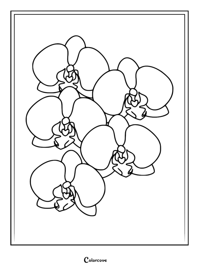 Coloriage de fleur relaxant représentant une grappe d'élégantes fleurs d'orchidée aux traits épurés.