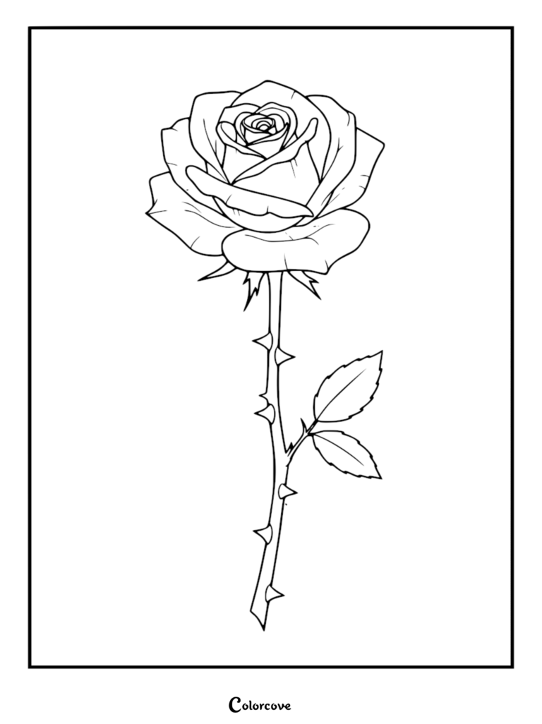 Coloriage de fleur relaxant détaillé représentant une rose unique avec des épines et des feuilles.