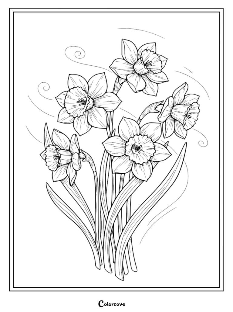 Un bouquet de quatre jonquilles avec des lignes de vent tourbillonnantes dans ce coloriage de fleur relaxant à imprimer gratuitement 36.