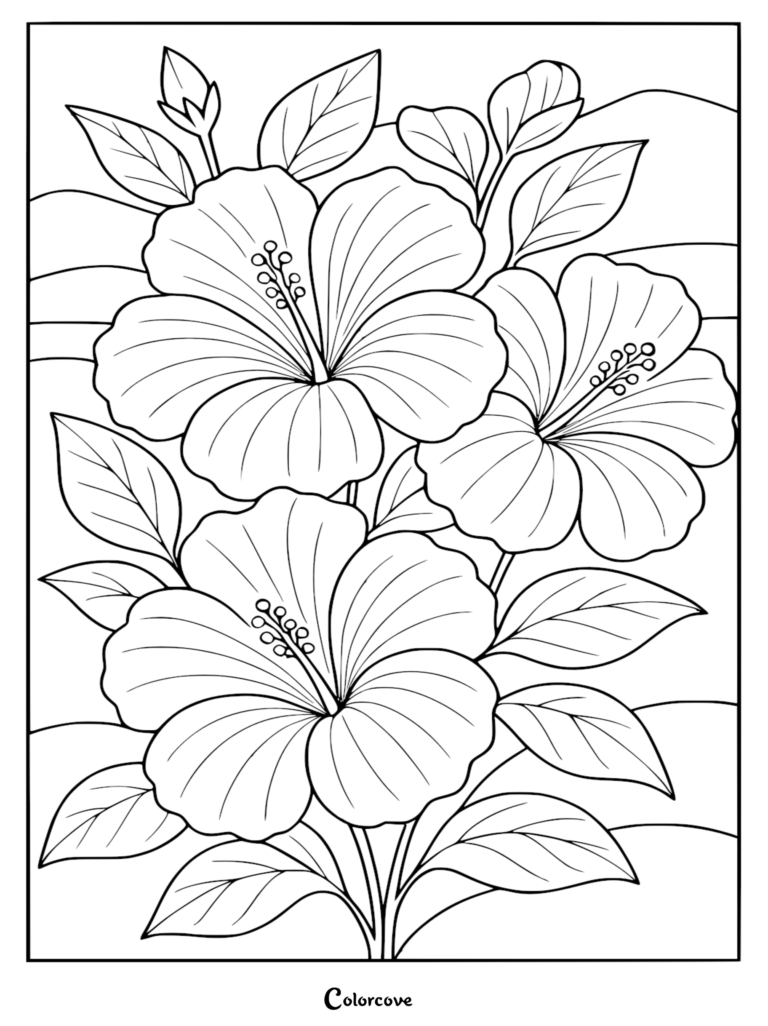 Coloriage de fleur relaxant représentant trois grandes fleurs d'hibiscus aux pétales détaillés et aux feuilles vert vif.