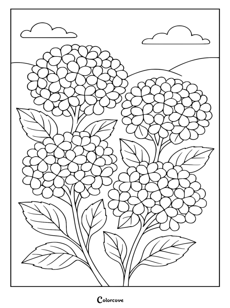 Une page de coloriage de fleur relaxante représentant quatre grands hortensias en grappes avec des feuilles sous un ciel nuageux.