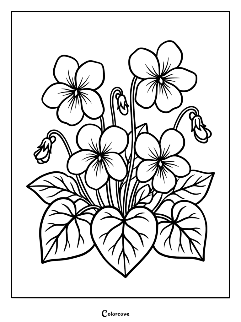 Un coloriage détaillé représentant un bouquet de violettes en fleurs avec des feuilles en forme de cœur et de délicats bourgeons.