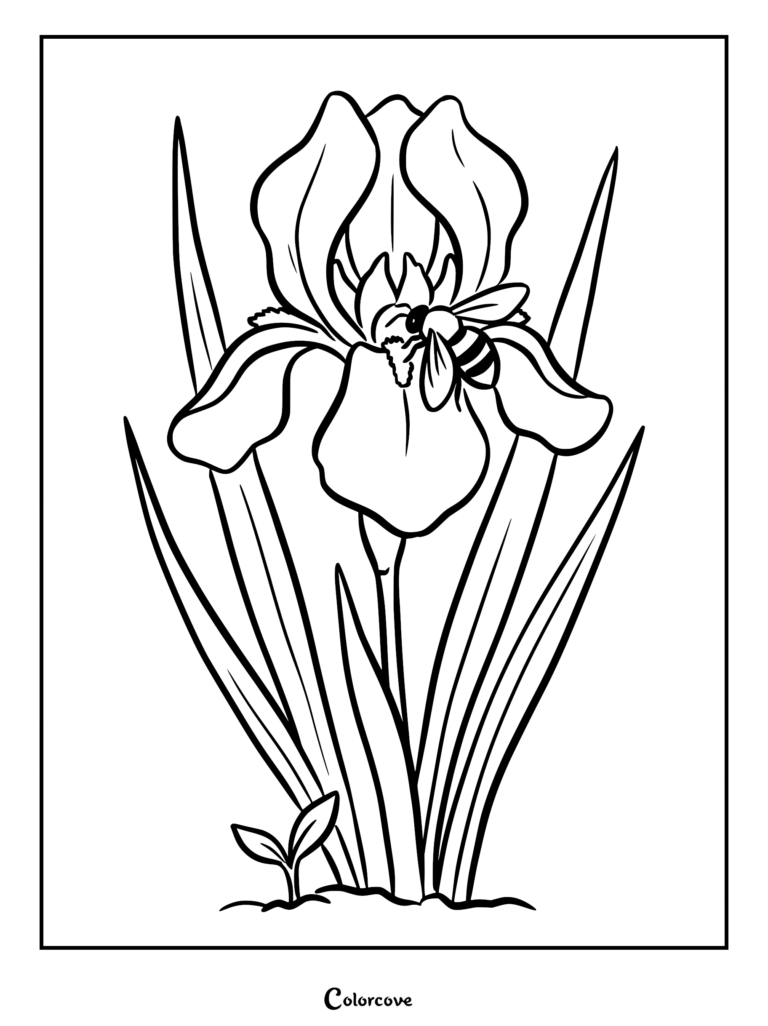 Un coloriage détaillé représentant un iris en fleurs avec une abeille posée sur ses pétales, entouré de longues feuilles.