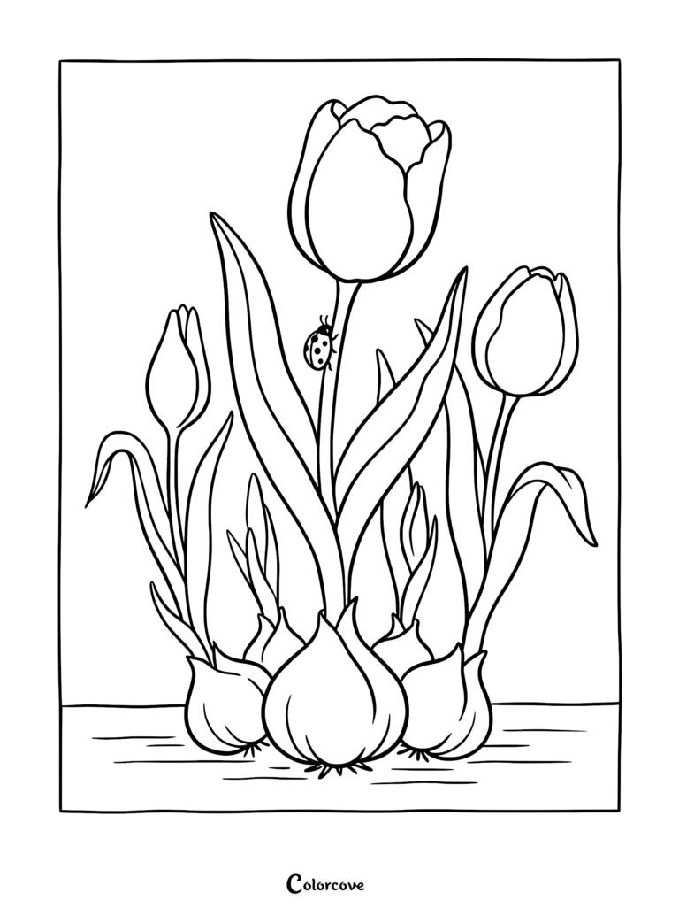 Une page de coloriage à imprimer représentant trois tulipes poussant à partir de bulbes avec une petite coccinelle rampant sur la tige centrale.