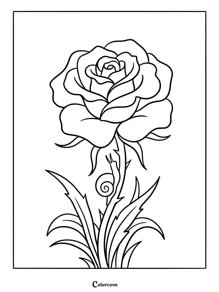 Un coloriage au trait détaillé représentant une rose en fleurs avec un petit escargot grimpant le long de sa tige épineuse.