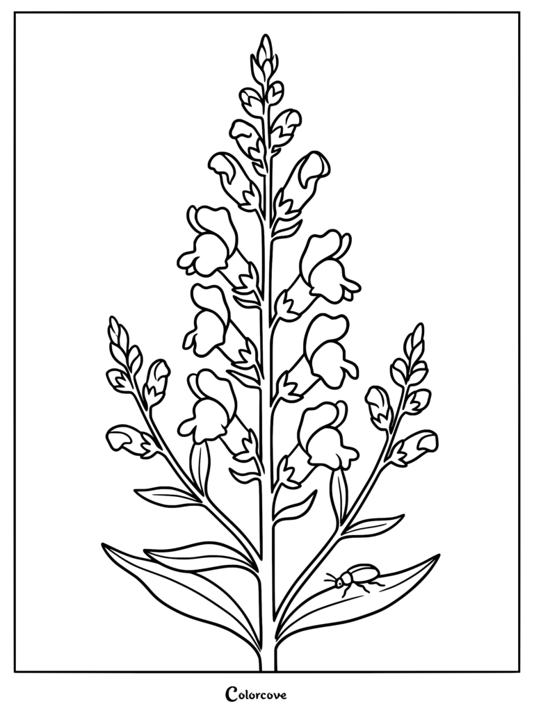 Un coloriage au trait détaillé représentant une haute tige de gueule de loup avec un petit scarabée posé sur une feuille.