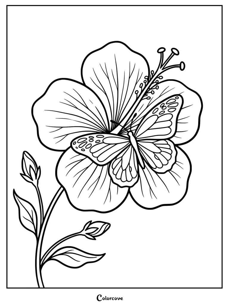 Un coloriage détaillé représentant une grande fleur d'hibiscus avec un papillon posé sur ses pétales et deux petits bourgeons sur la tige.