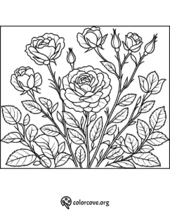 Coloring page featuring intricate rose flowers and leaves, perfect for relaxation and creativity.